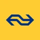 NS icon