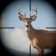 Trophy Hunter: Jagdspiele – 3D icon
