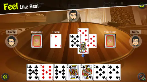 29 Card Game screenshot