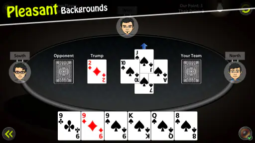 29 Card Game screenshot