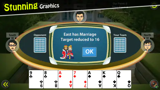 29 Card Game screenshot