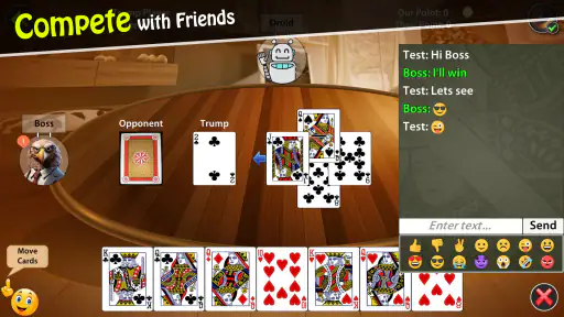 29 Card Game screenshot