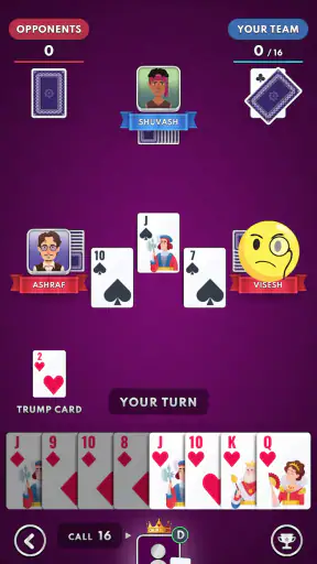 29 Card Master : Offline Game screenshot