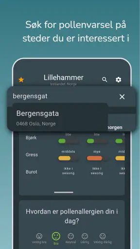 Airmine Pollen screenshot