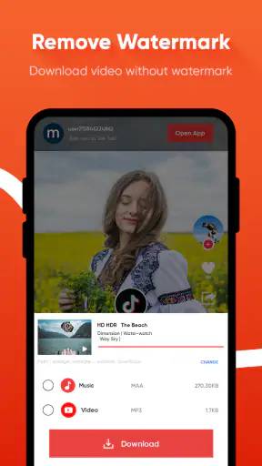 All Video Downloader screenshot