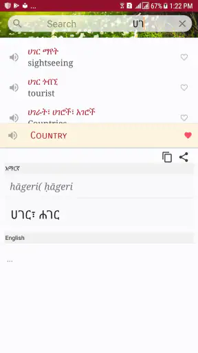 Amharic Dictionary - Translate screenshot