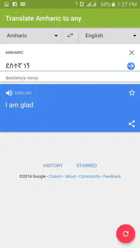 Amharic Dictionary - Translate screenshot