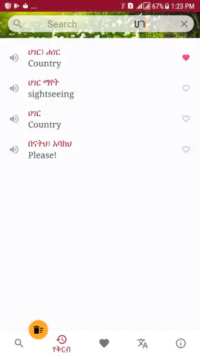 Amharic Dictionary - Translate screenshot