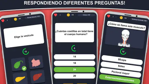 Anato Trivia - Quiz Anatomía screenshot