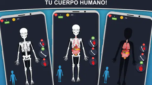 Anato Trivia - Quiz Anatomía screenshot
