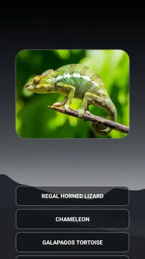 Animal Quiz: Guess the Animal screenshot