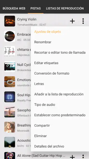 AR Descargar Música screenshot