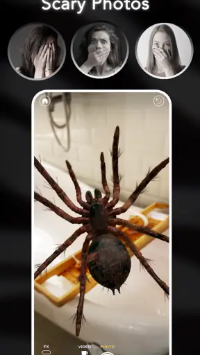 AR Spiders & Co: Scare friends screenshot