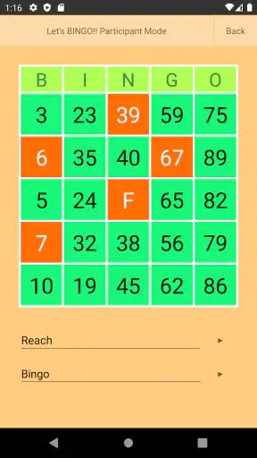 Bingo Machine screenshot
