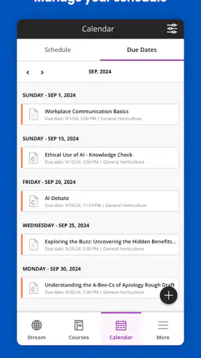Blackboard screenshot