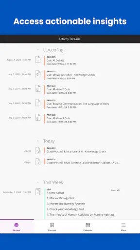 Blackboard screenshot