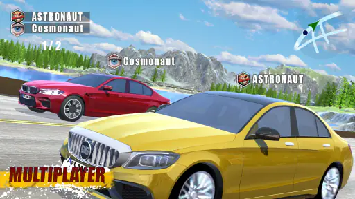CarSim M5&C63 screenshot