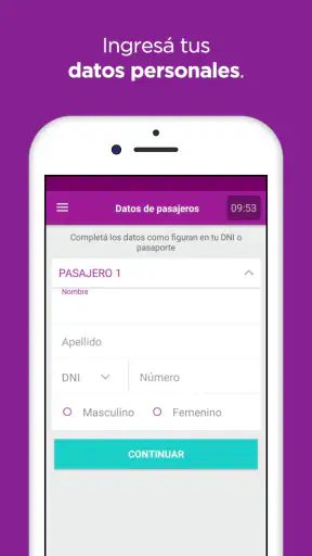 Central de Pasajes screenshot