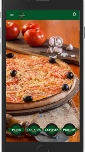 Central de pizzas y empanadas screenshot