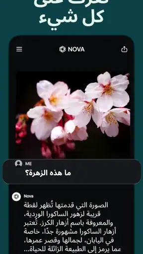 Chatbot AI العربية - Nova screenshot