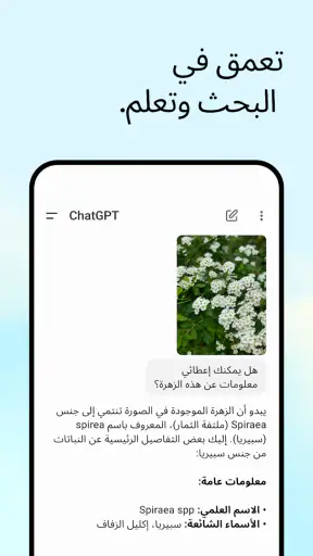 ChatGPT screenshot