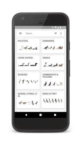 Collins Bird Guide screenshot
