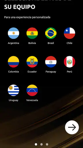 CONMEBOL Libertadores screenshot