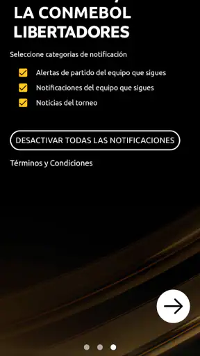 CONMEBOL Libertadores screenshot