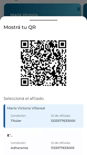 Credencial Digital CSS screenshot