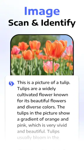 Deep Think - AI Seek Chatbot screenshot