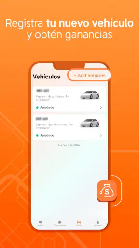 DiDi Fleet screenshot