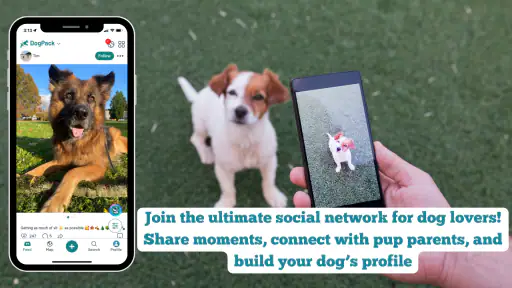 DogPack: Dog Parks & Services screenshot