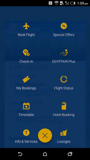 EGYPTAIR screenshot