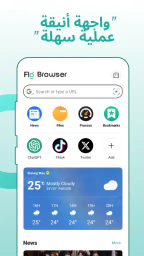 Fly Browser - Private & Fast screenshot