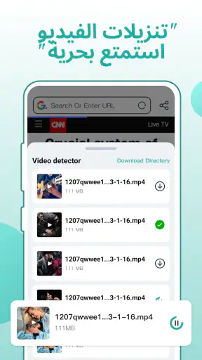 Fly Browser - Private & Fast screenshot