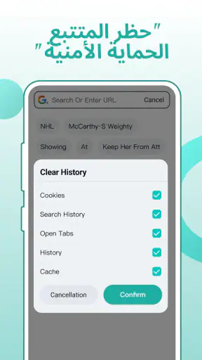 Fly Browser - Private & Fast screenshot