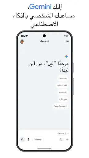 Google Gemini screenshot