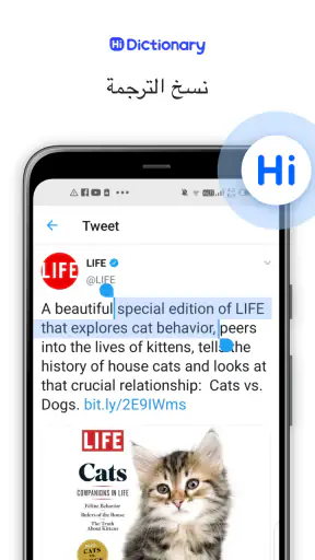 Hi Dictionary - تعلم اللغة screenshot
