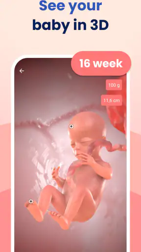 HiMommy: Ovulation & Pregnancy screenshot
