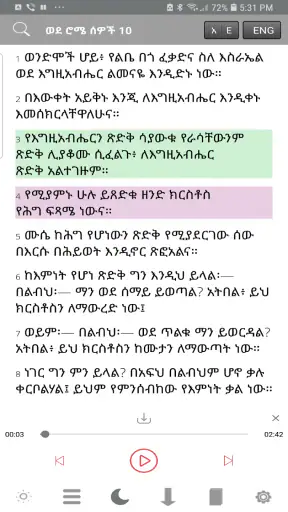 Holy Bible In Amharic/English  screenshot