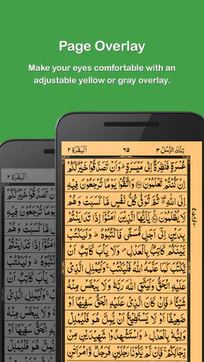 HOLY QURAN - القرآن الكريم screenshot