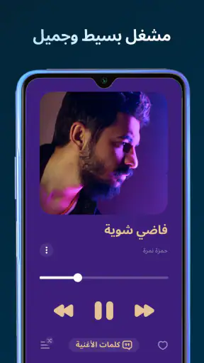 Lark Player - مشغل الموسيقى screenshot