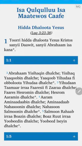Macaafa Qulqulluu -Oromo Bible screenshot