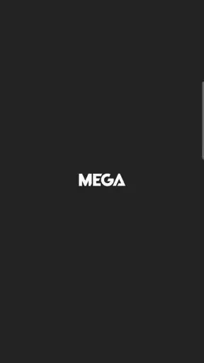 Mega 98.3 screenshot