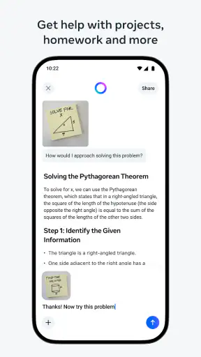 Meta AI screenshot