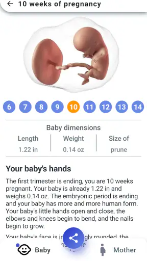 My Pregnancy - Week by Week screenshot