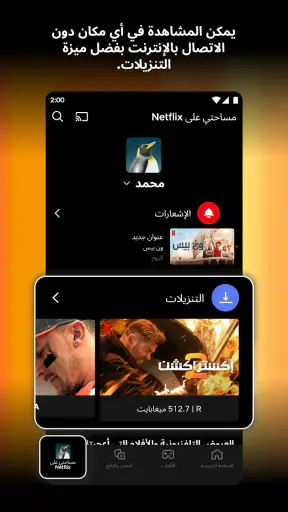 Netflix screenshot