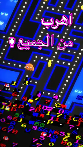 PAC-MAN 256 - متاهة لا تنتهي screenshot