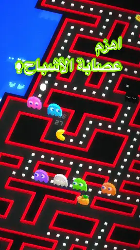 PAC-MAN 256 - متاهة لا تنتهي screenshot
