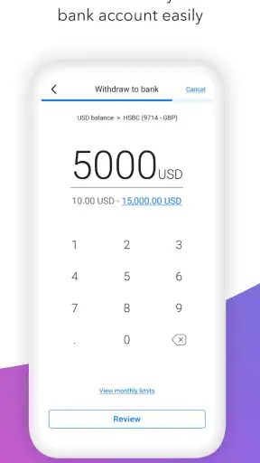 Payoneer screenshot